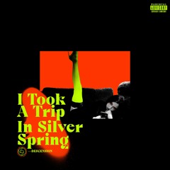 I Took A Trip In Silver Spring • Prod. wyt + ELI AVELLAN