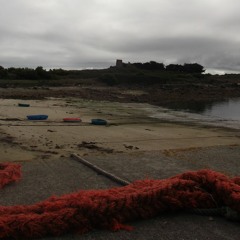 Transition (une Pensée Pour David Gilmour Et Le Floyd)