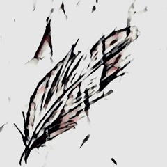 The Day 2 Crows Came