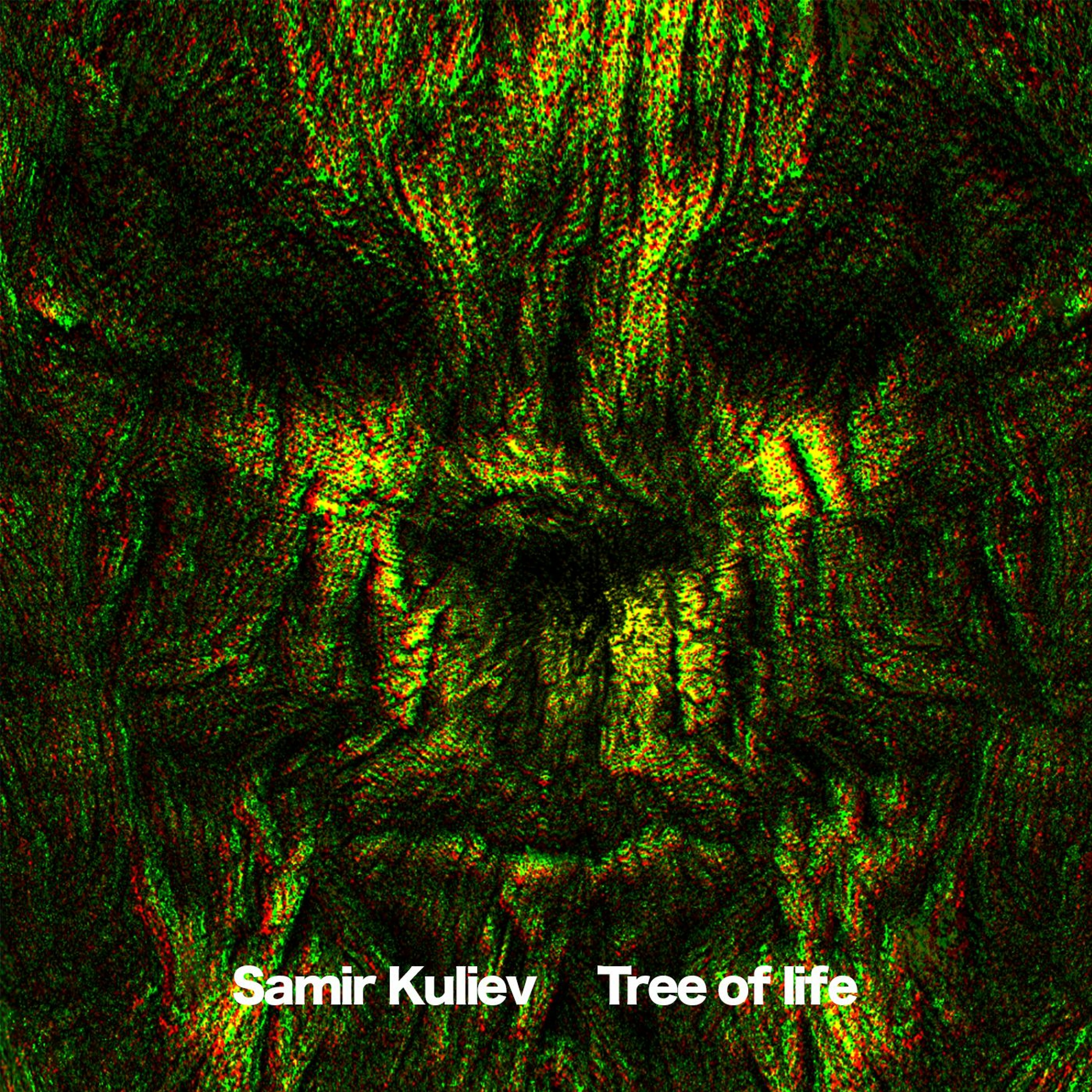 Samir Kuliev