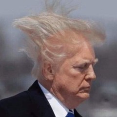 trumps toupee.