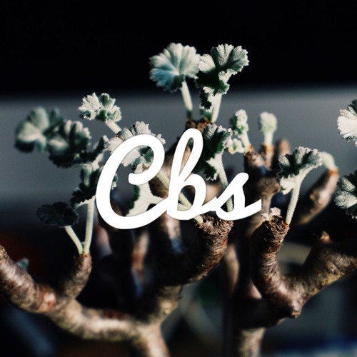 CBS - Green "2019" Remix