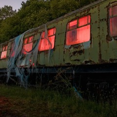 Studio 205 - HEAD BANGERS