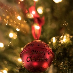 Merry Christmas - VAVH MS