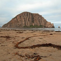 White Sand (Beach Trap Beat) Prod x WH!TEBOY