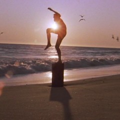 Seagull Support 2019