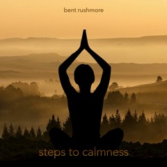 Steps to Calmness (2019)