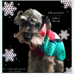 Lil' Saint Dave by Tommy & Bella