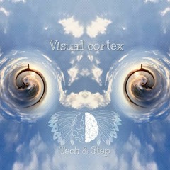 Visual Cortex - Tech & Step