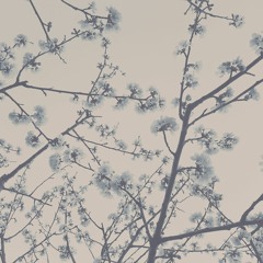 Toi Moi (Single Version) - Nancy Zotier Group