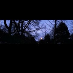 خريف وطارو أوراقوا وأخدوا معهن قلبي🍂