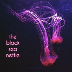 Olivia Sugar - The Black Sea Nettle