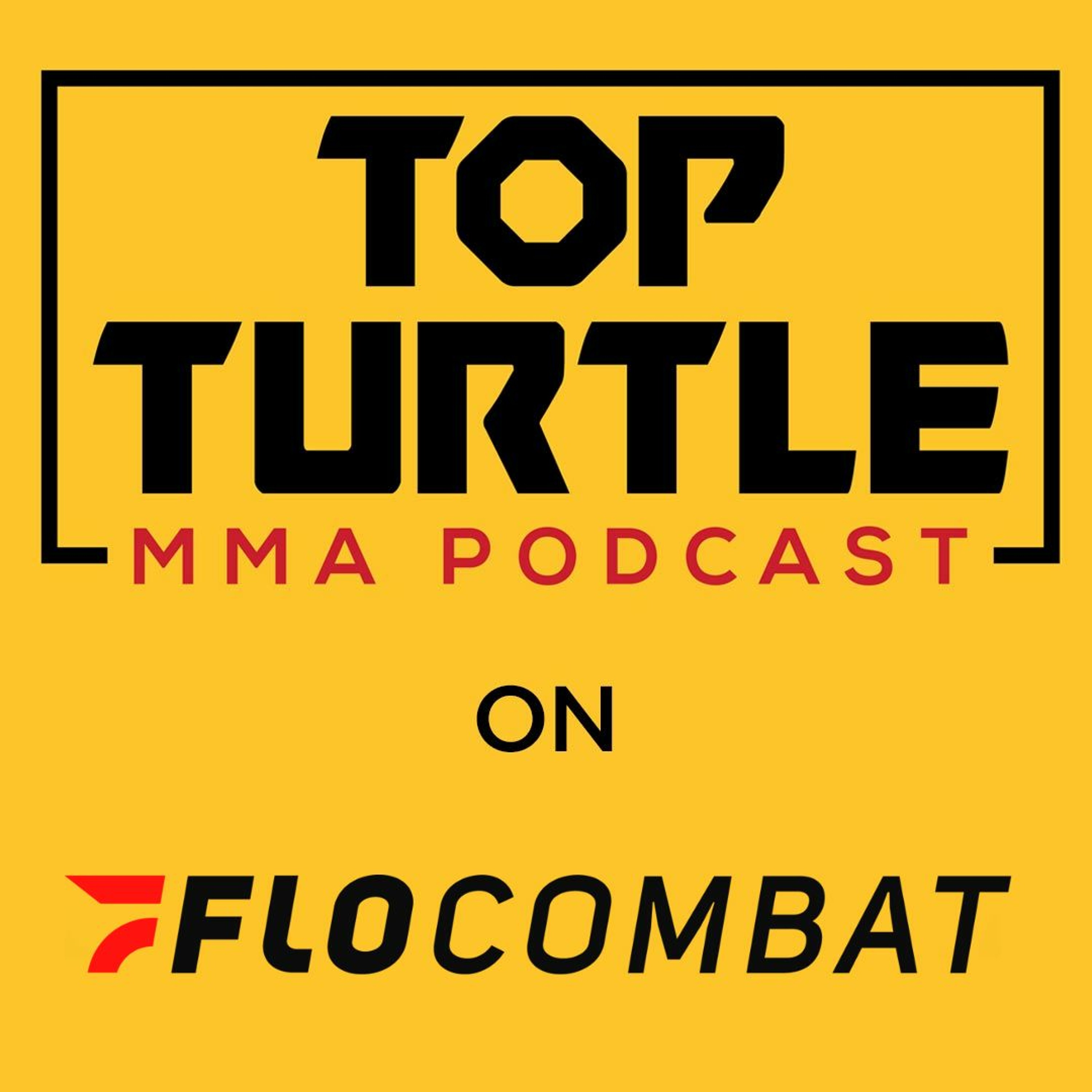Top Turtle MMA
