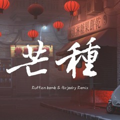 音阙诗听 - 芒种 (Ruffian bomb & Airjodry Remix )【動態歌詞/Lyrics Video】