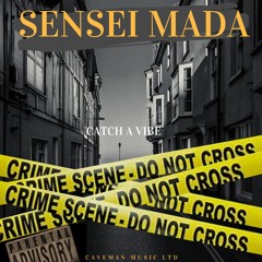 Sensei Bantu_ Catch a VIbe (Dj Flow)