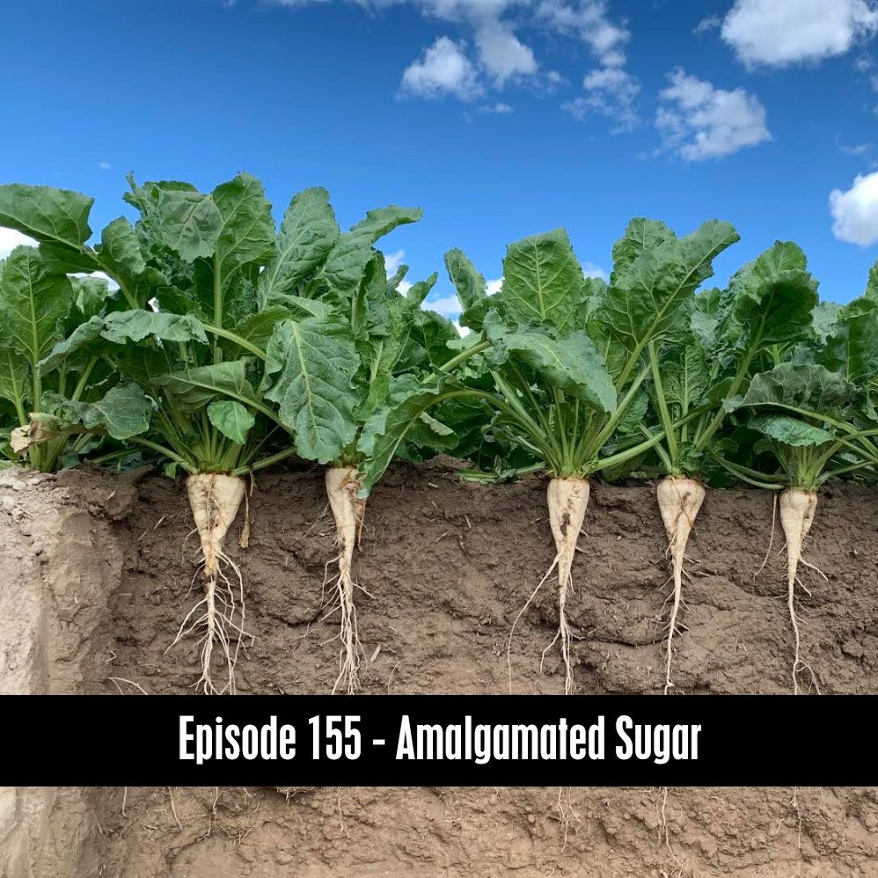 D&B Show Podcast Episode 155 - Amalgamated Sugar