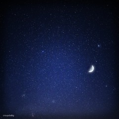 Silent Late Night
