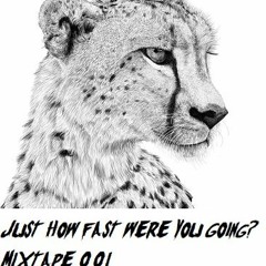 DJ Arne L II + DJ Mirko Milano - Freak In Me