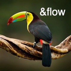 Flow Key Sessions #6