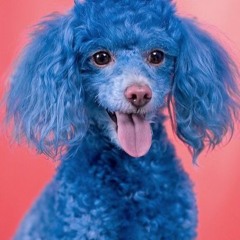 Dec 2019 Reunion no6