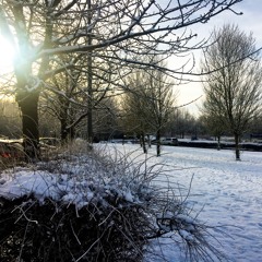 Have Yourself A Merry Little Christmas