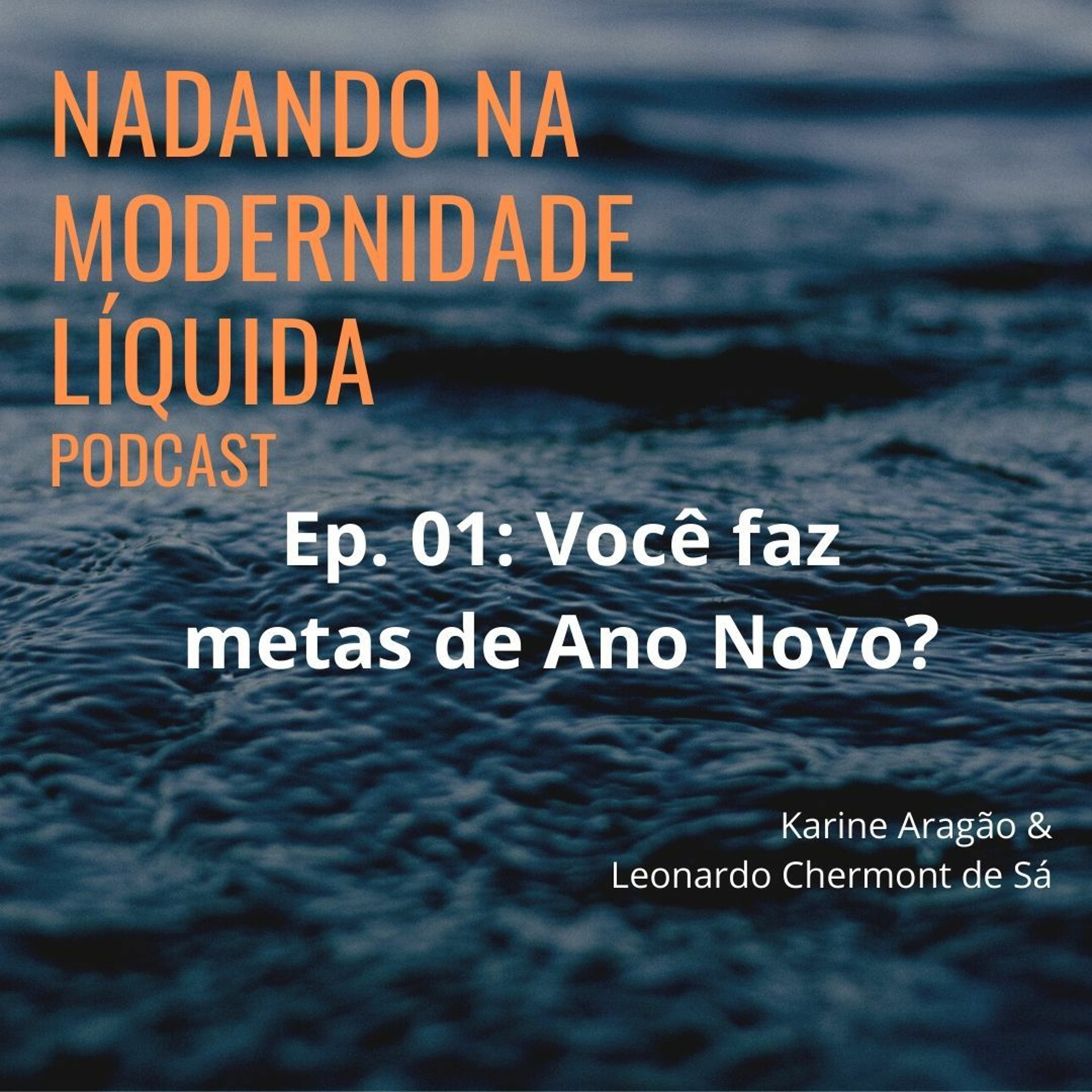 Nadando na Modernidade Líquida