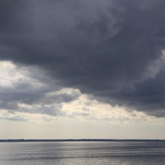 The Seasonless Ocean - Lizzie Wann (2012)