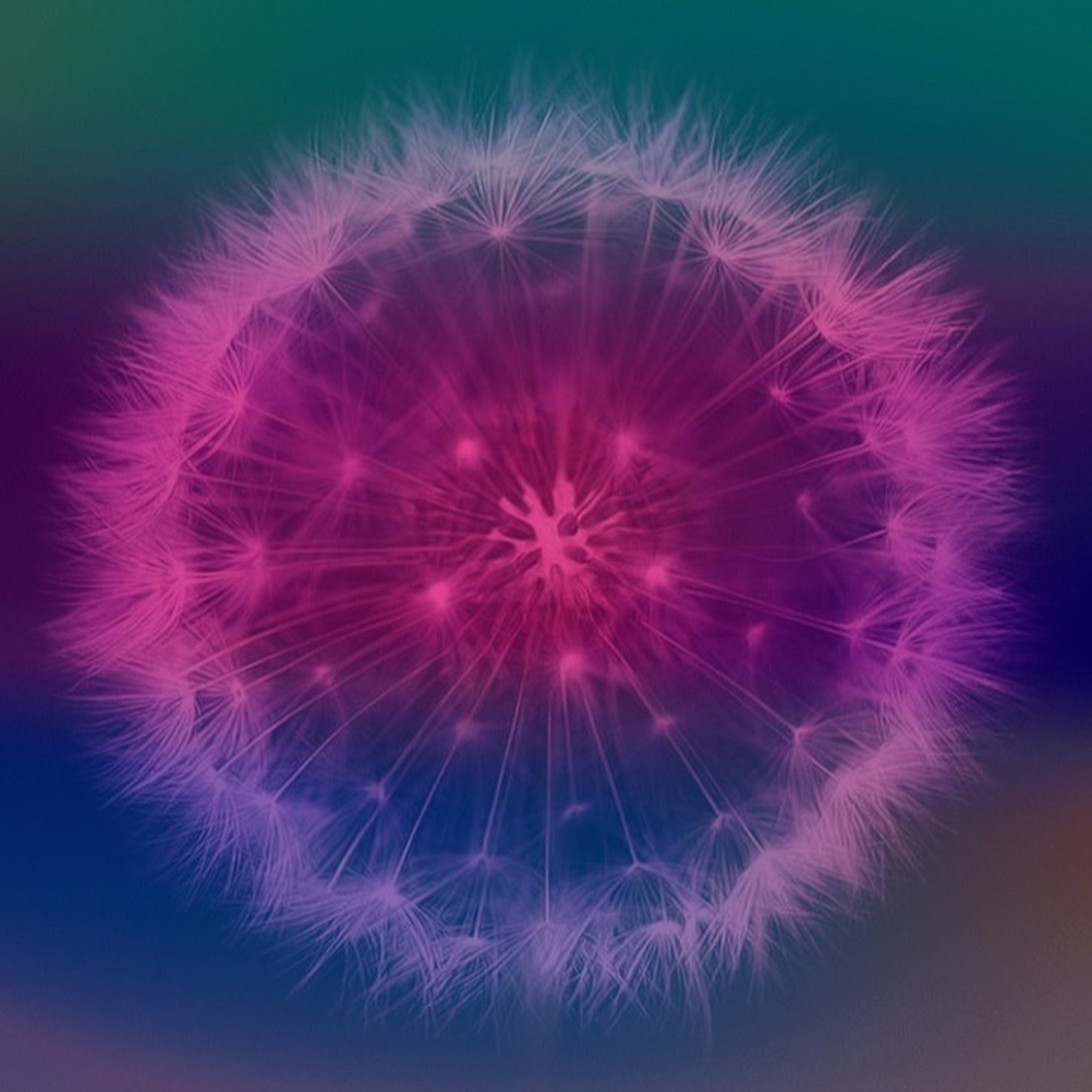 B.elle.musicArt N°93 episode artwork