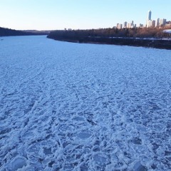 Frozen Shores