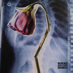 HIM- Scoliosis