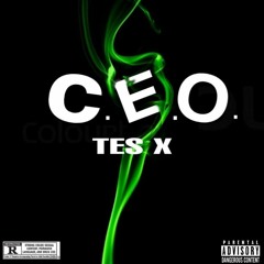 TesX CEO