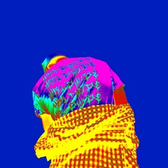 Scotty Pipen Freestyle