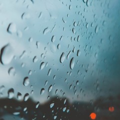 박새별 - 물망초