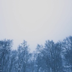 大崎剛 - ほら吹き狐の唄