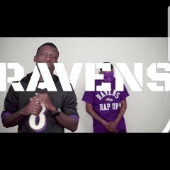 Ravens Rap Up - Bird Show