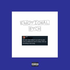 emotional btch - no mix/master