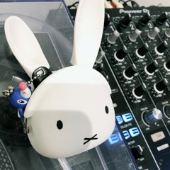 Mixes/DJ Sets