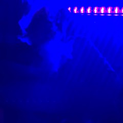 NAITHEMOSTHIGH - 3:AM N STILL SIPPING (Freestyle)