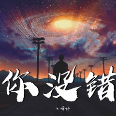 王泽科 - 你没错【動態歌詞/Lyrics Video】