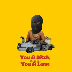 You A Bitch, You A Lame (ft. Murda Beatz)