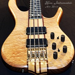 Bassguitar Instrumentals