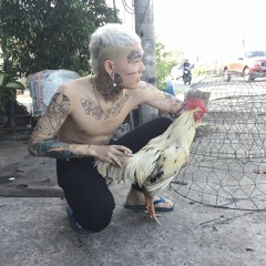 LEESIAN BOY - MẤY EM GÀ