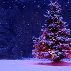 The Harmony of Christmas