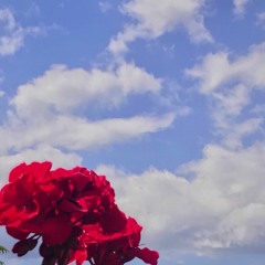 SUNDAY prod. Michael Kim-Sheng