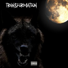 QT Savage - Transformation