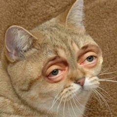 DJ Strobe Sopranos Mad Friday Set