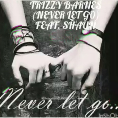 Trizzy Barnes - Never Let Go (Feat. Shaun)