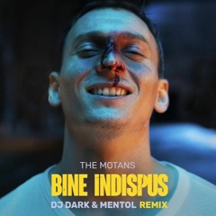 The Motans - Bine Indispus (Dj Dark & Mentol Remix)