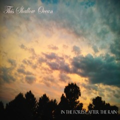 This Shallow Ocean - In The Forest, After The Rain