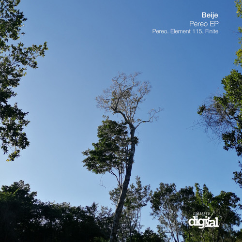Beije - Element 115 {Original Mix} Stripped Digital
